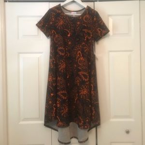 NWT LulaRoe Carly dress. Paisley!